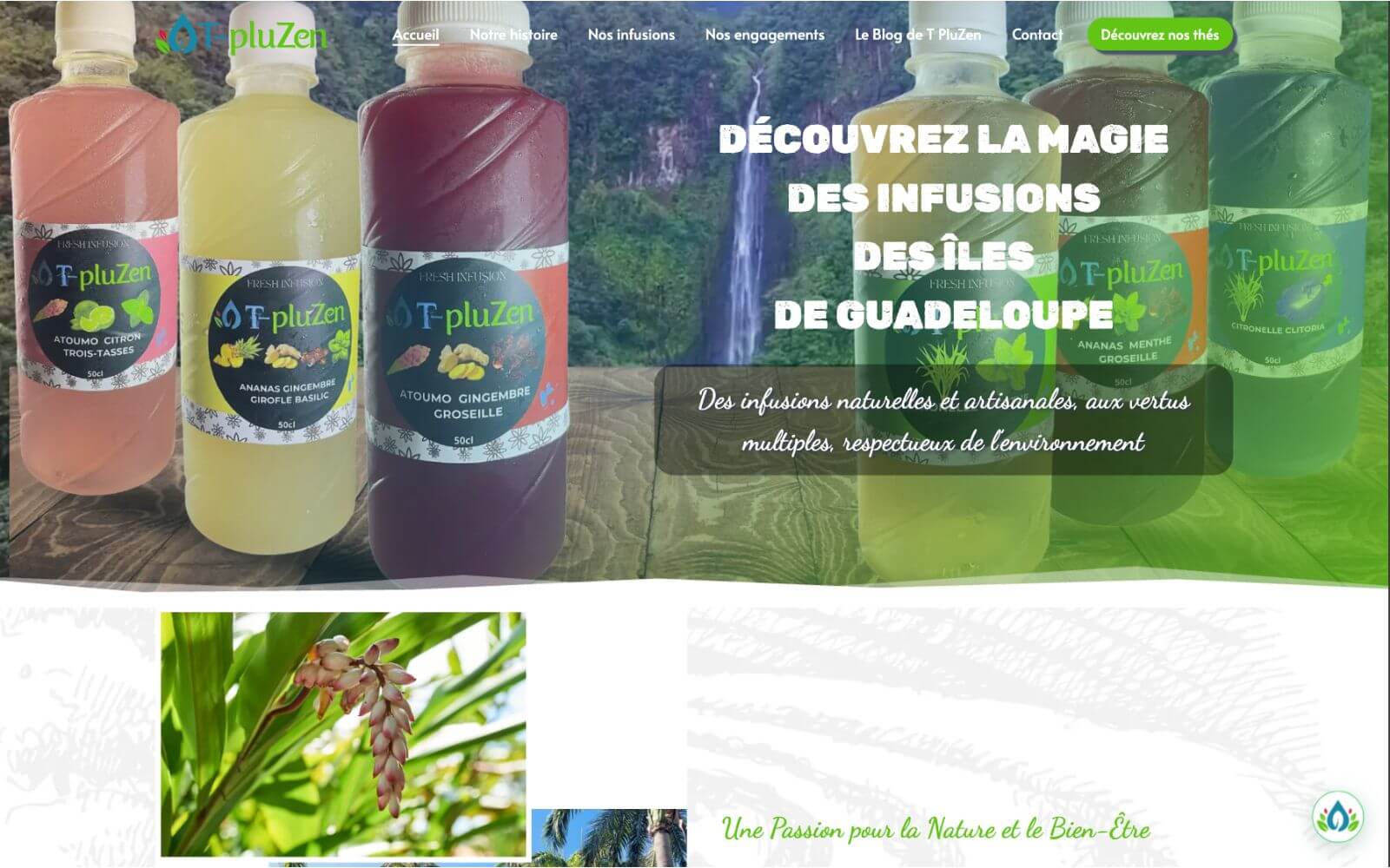 Aperçu du site TPluzen
